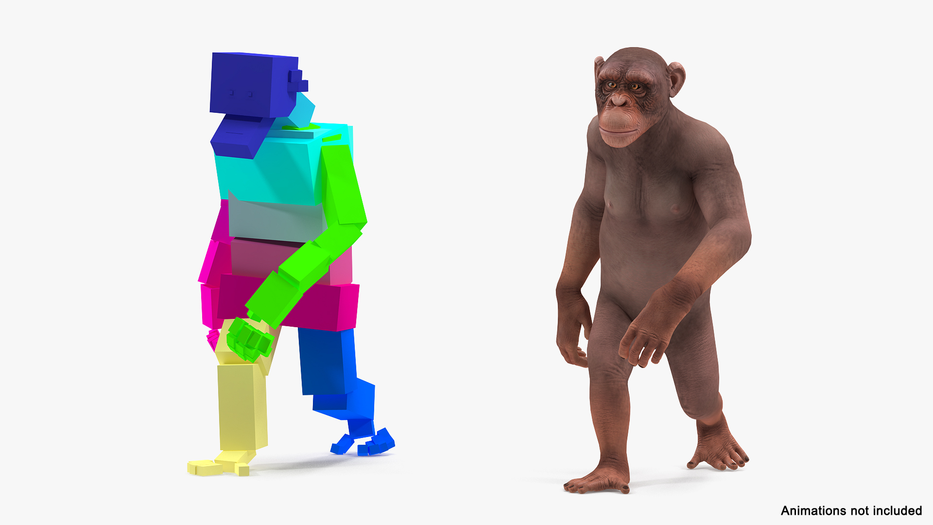 3D Light Chimpanzee Rigged - TurboSquid 1434526