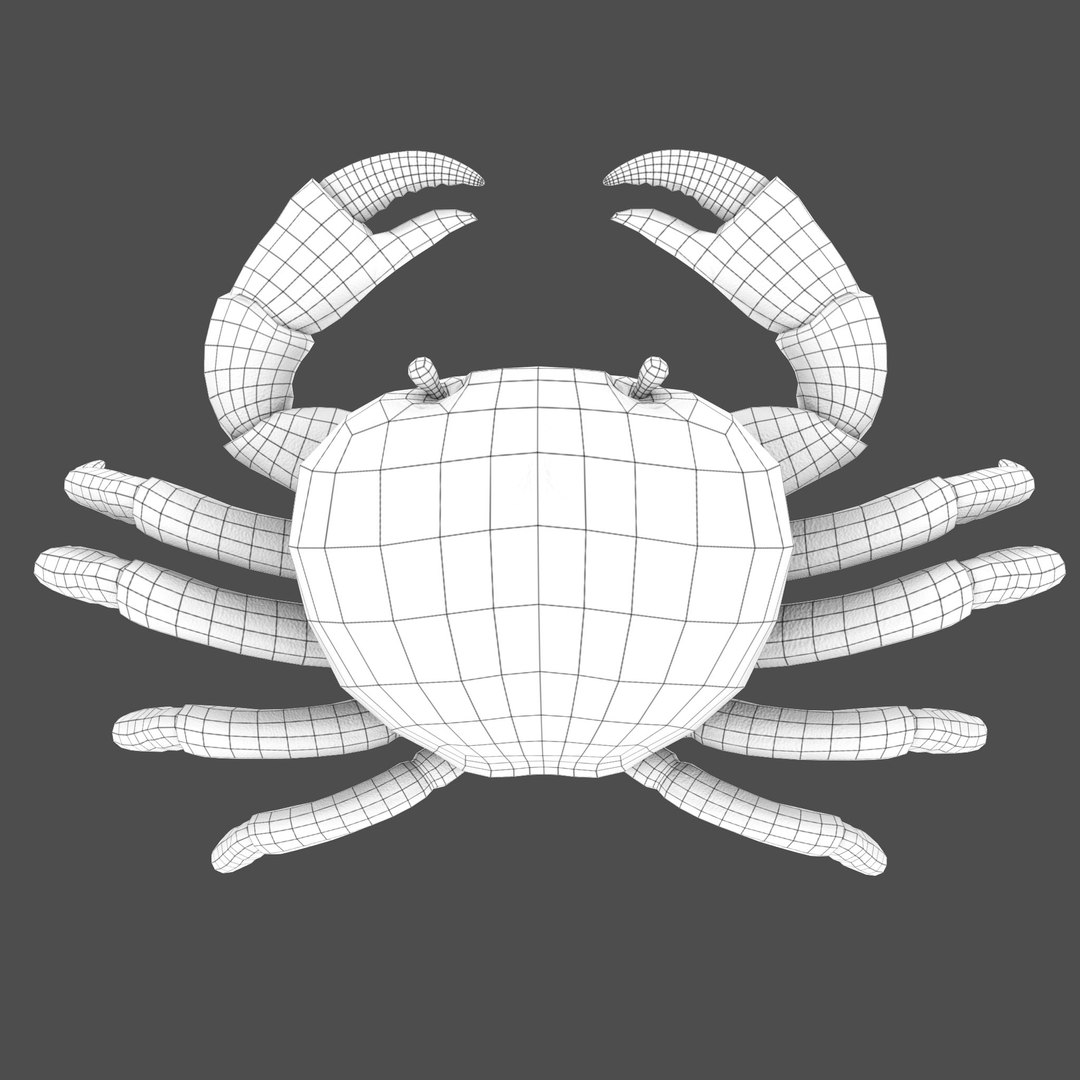 modelled texturing rigged 3D model https://p.turbosquid.com/ts-thumb/es/Z2acRo/BKsj3dyc/wireframe_bust_t/jpg/1587825799/1920x1080/fit_q87/3a1ca26927b22387bd1a0b300a5b93d00356bb5f/wireframe_bust_t.jpg