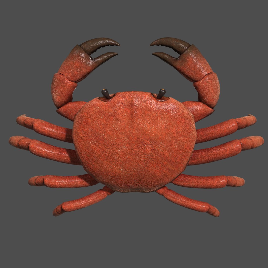 modelled texturing rigged 3D model https://p.turbosquid.com/ts-thumb/es/Z2acRo/CRfDrbrn/diffuse_bust_t/jpg/1587825706/1920x1080/fit_q87/393ebaf1c8aa5e5f4e372eaa0515ce6ce0b705bf/diffuse_bust_t.jpg