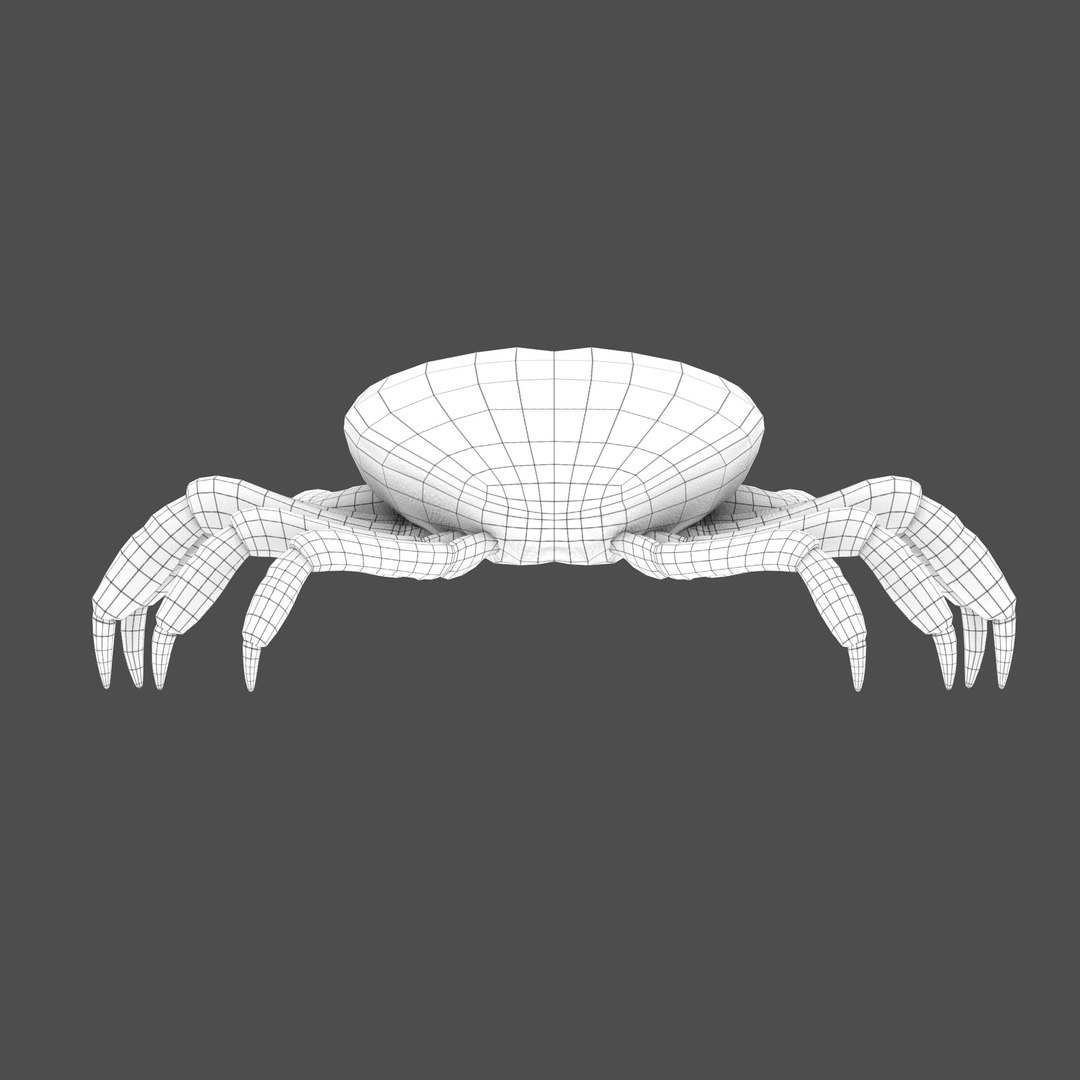 modelled texturing rigged 3D model https://p.turbosquid.com/ts-thumb/es/Z2acRo/EphE03B0/wireframe_full_b/jpg/1587825759/1920x1080/fit_q87/30e51dca2b641c4f507b342893d171fd6f9f6d97/wireframe_full_b.jpg