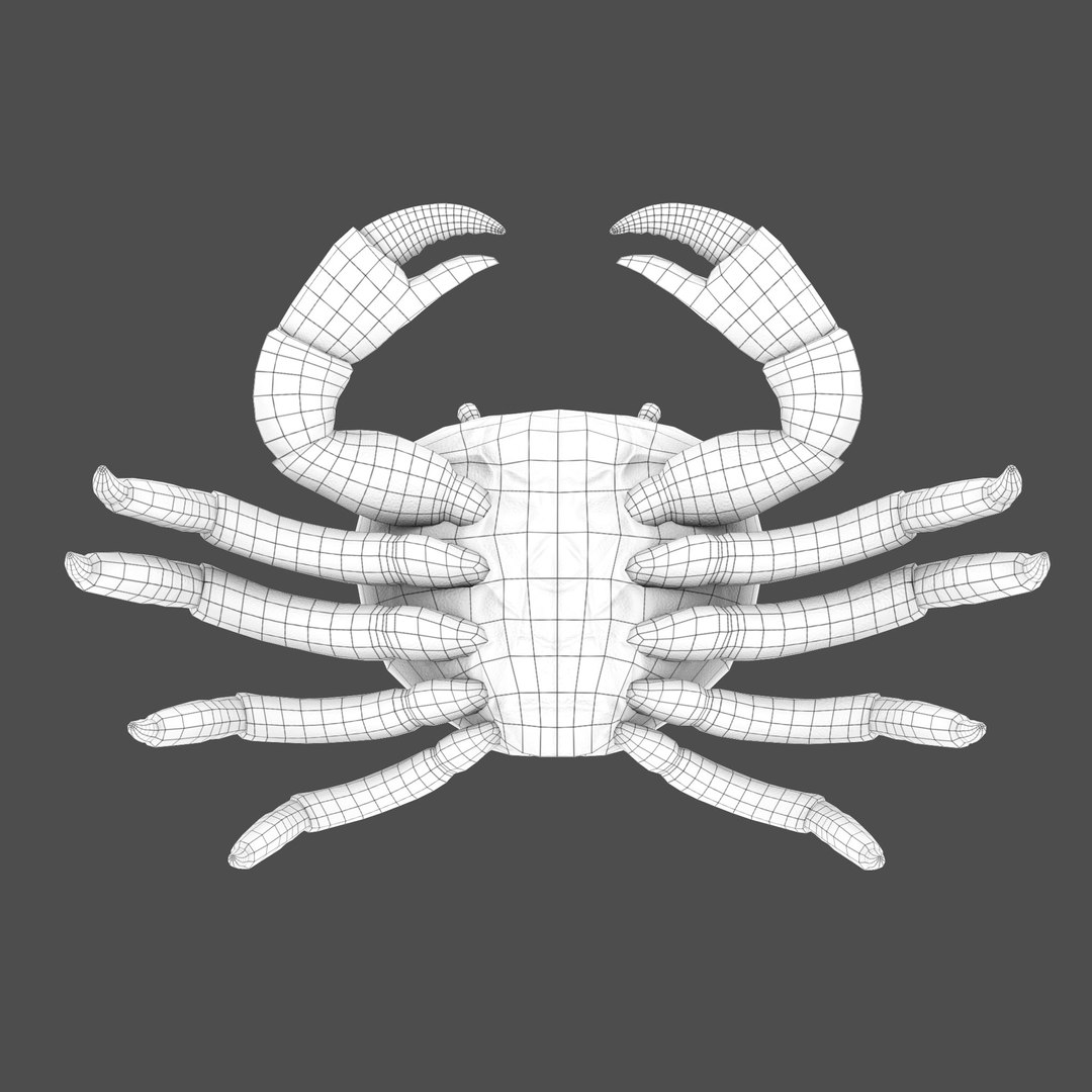 modelled texturing rigged 3D model https://p.turbosquid.com/ts-thumb/es/Z2acRo/KQbfOH0F/wireframe_bust_d/jpg/1587825783/1920x1080/fit_q87/34a33b77b5fa2a588ea3f74e3e9365bb4702f2b2/wireframe_bust_d.jpg