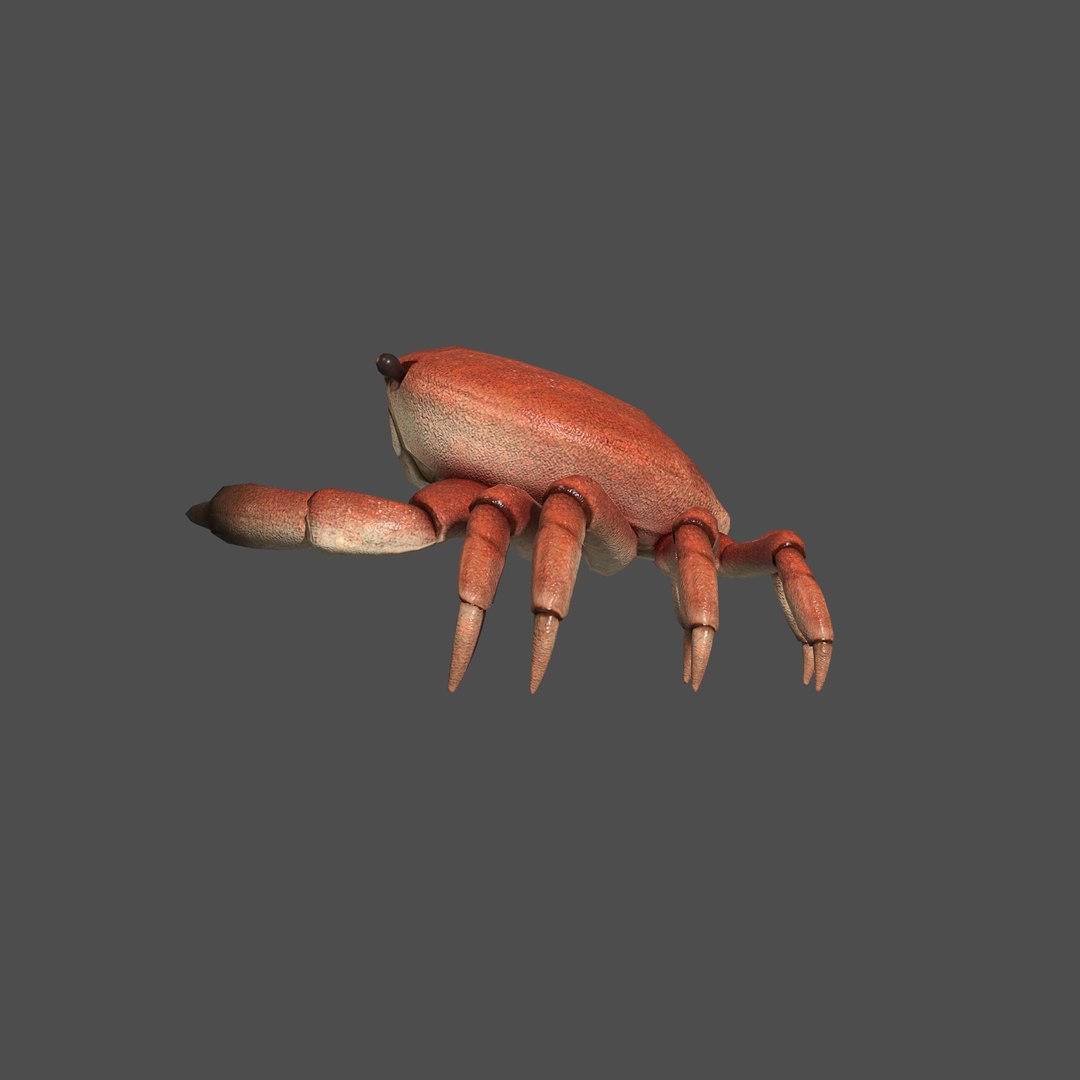 modelled texturing rigged 3D model https://p.turbosquid.com/ts-thumb/es/Z2acRo/Sf0BwPgf/diffuse_full_s/jpg/1587825655/1920x1080/fit_q87/0051b0523ff4c3ee9cc610a4847c1a1c492de58a/diffuse_full_s.jpg
