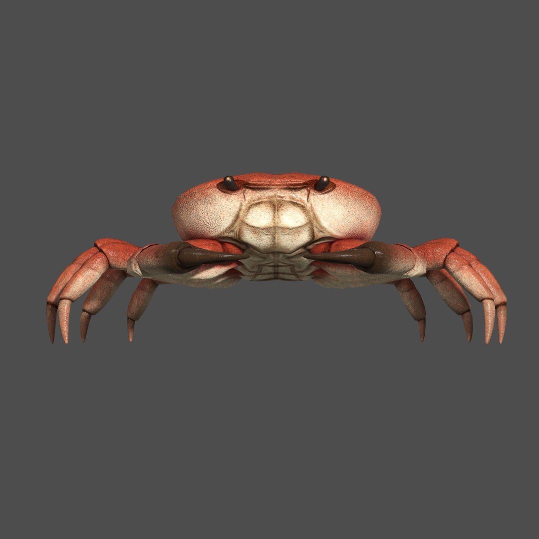modelled texturing rigged 3D model https://p.turbosquid.com/ts-thumb/es/Z2acRo/SuA3Uo9q/diffuse_full_f/jpg/1587825641/1920x1080/fit_q87/2a49efdce586a86f55692fcfec81dfb3374cf0da/diffuse_full_f.jpg