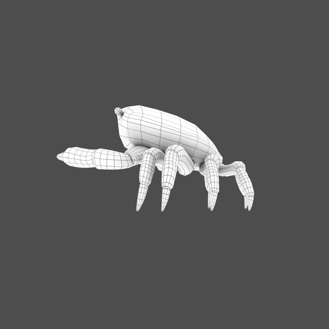 modelled texturing rigged 3D model https://p.turbosquid.com/ts-thumb/es/Z2acRo/juss3BBX/wireframe_full_s/jpg/1587825745/1920x1080/fit_q87/2491dd91902d37a608faebc7342305b0ae6c0744/wireframe_full_s.jpg