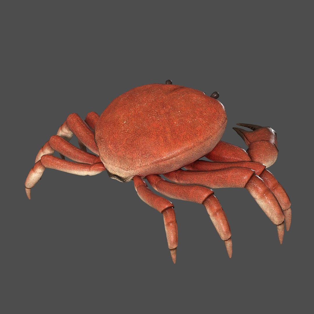 modelled texturing rigged 3D model https://p.turbosquid.com/ts-thumb/es/Z2acRo/k0MUv4Nd/diffuse_bust_p02/jpg/1587825681/1920x1080/fit_q87/70ad99b3fbd099d3b1e99cd0af9e5d9f5f80610c/diffuse_bust_p02.jpg