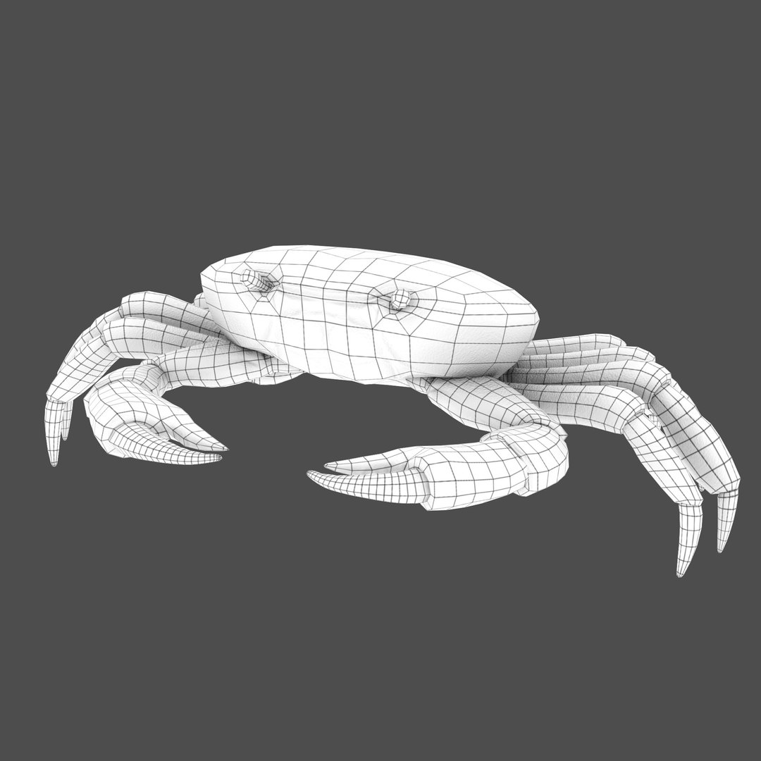 modelled texturing rigged 3D model https://p.turbosquid.com/ts-thumb/es/Z2acRo/qZamelEh/wireframe_bust_p01/jpg/1587825718/1920x1080/fit_q87/ef4244da63c6cc97bedaa3b5527555d30d724e01/wireframe_bust_p01.jpg