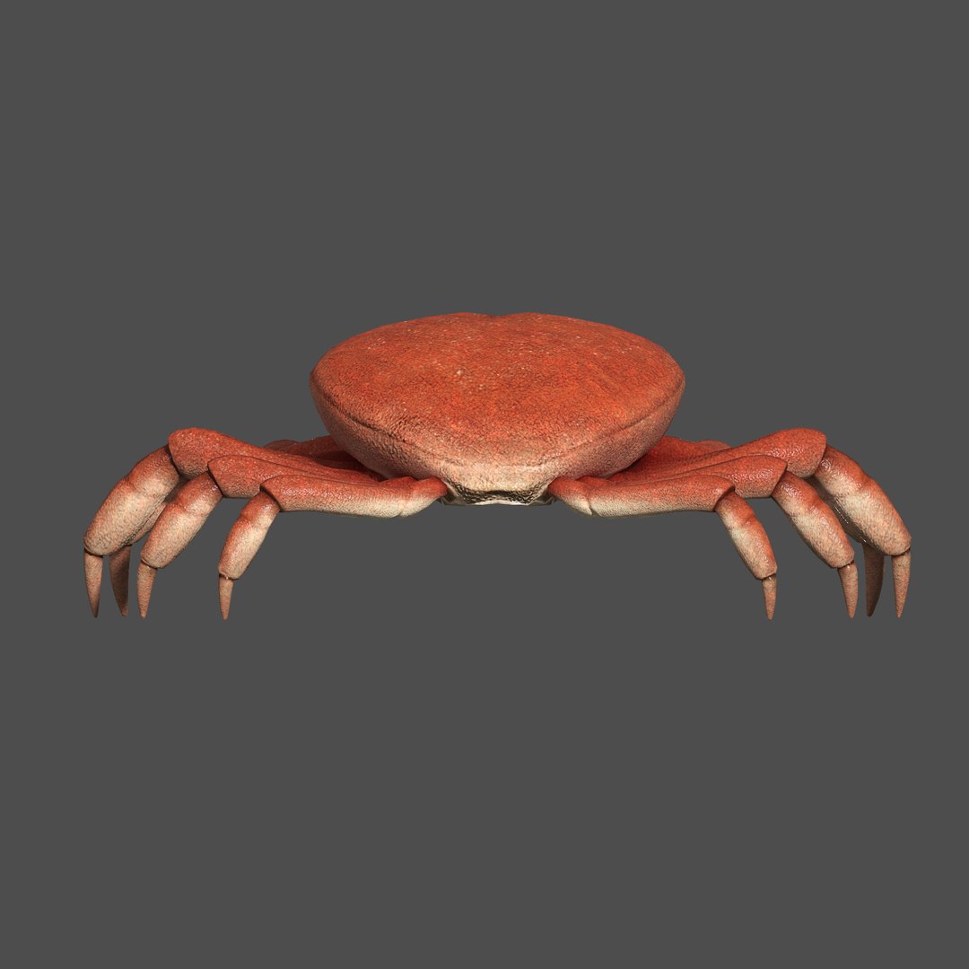 modelled texturing rigged 3D model https://p.turbosquid.com/ts-thumb/es/Z2acRo/zL1eO0M1/diffuse_full_b/jpg/1587825667/1920x1080/fit_q87/e131d59d1cff14811876e3fe57bedf71d89e3e4c/diffuse_full_b.jpg