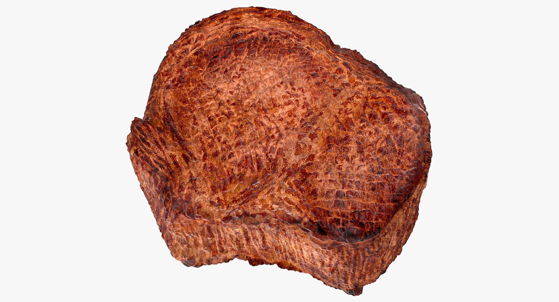 3D grilled camping food 3 https://p.turbosquid.com/ts-thumb/es/iFloXb/7ctBlR8m/grilledandcampingfoodcollection3c4dmodel008/jpg/1594462572/1920x1080/fit_q87/b2ce8a2ab63e9e01c783da28c2c5a0fe54519e6c/grilledandcampingfoodcollection3c4dmodel008.jpg