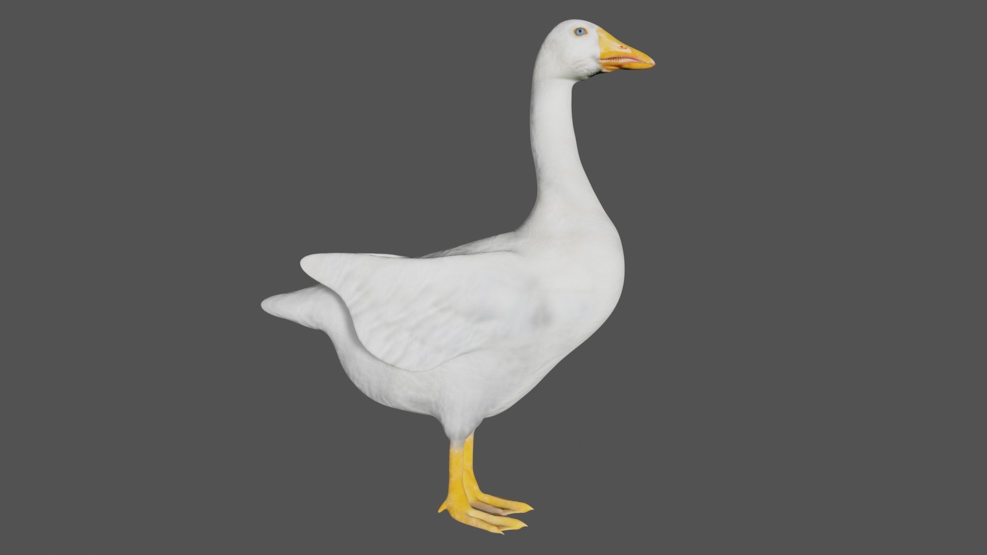 Goose Duck 3D Model - TurboSquid 1747781