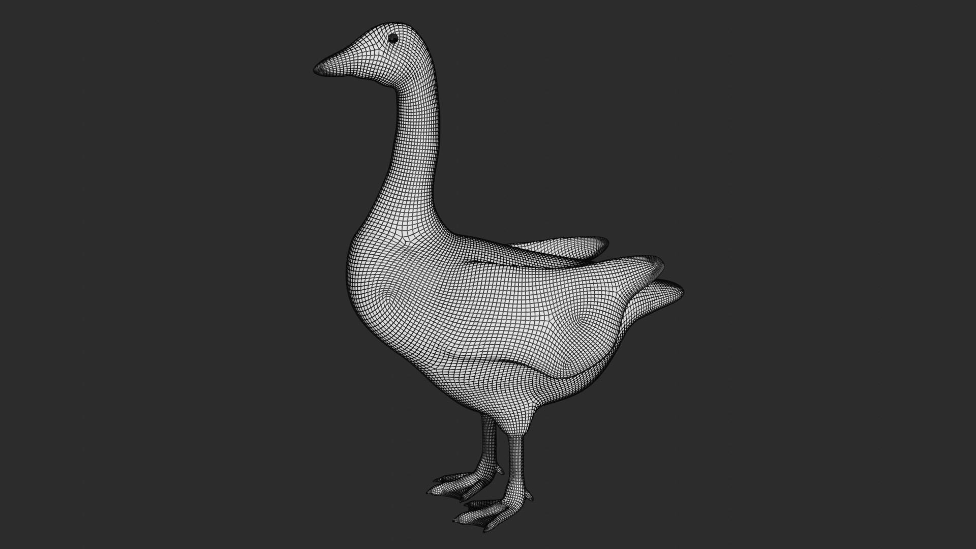 Goose duck 3D model - TurboSquid 1747781