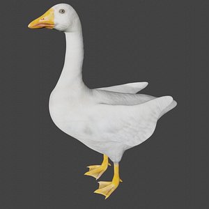 Goose duck 3D model