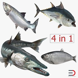 fishes 2 rigged salmon 3d max