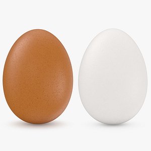 3D model White and Brown Eggs