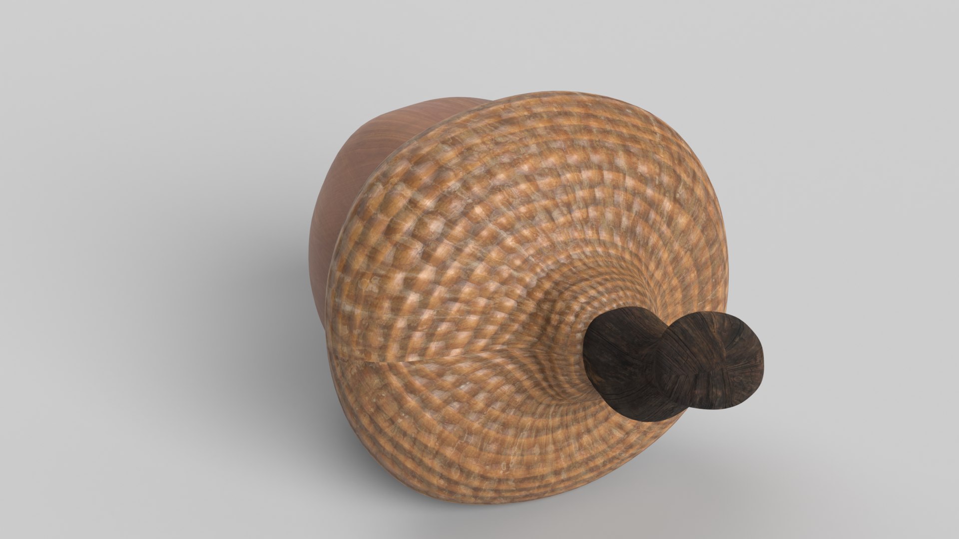 Acorn 3D - TurboSquid 1937009