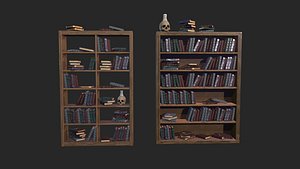 Stylized alchemist shelves with books and skull 3D model 3D model