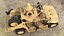 PBR Polaris Dagor