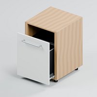 Twin Bin Kitchen Waste Pullout with Cabinet Frame