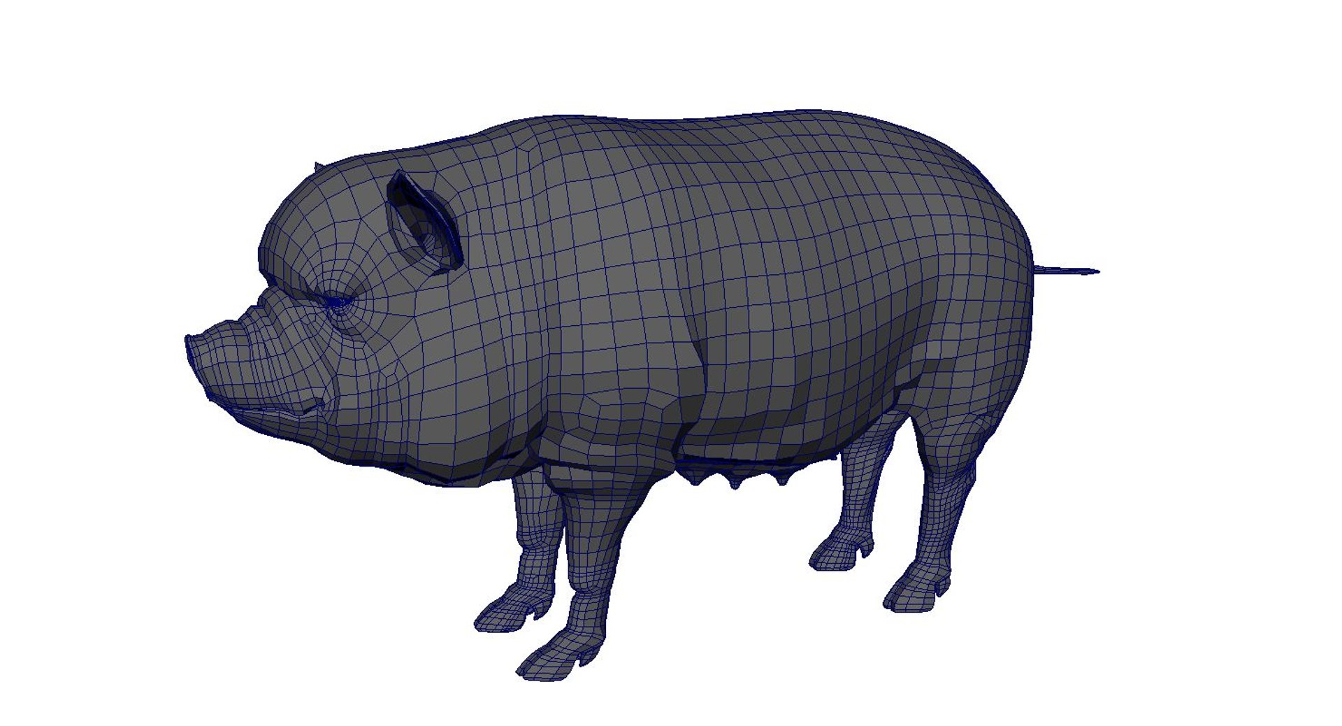 Pig Model - TurboSquid 1436206