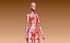Hera 3D-Puppe Gliederpuppe bjd Puppe Ooak digitale Puppe handgemachter Druck
