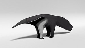 giant anteater model