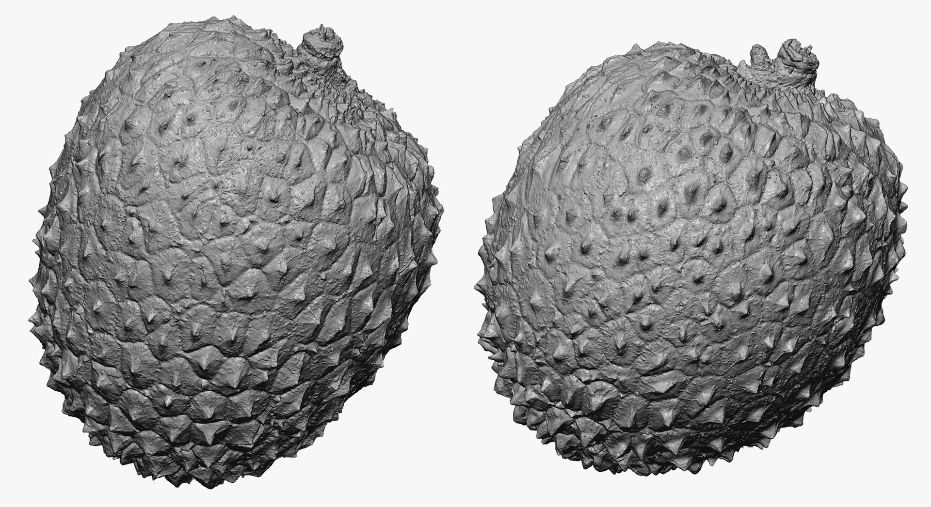 3D Lychees Collection 03 - 2 Models RAW Scans - TurboSquid 1830639