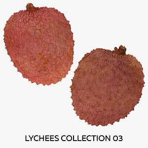 3D Lychees Collection 03 - 2 models RAW Scans