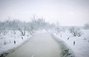 Procedural Winter Road Generator model