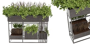 3D model Collection plant vol 13 blender model