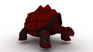 Tortoise