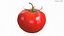tomato polys 3D model