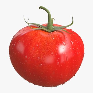 tomato polys 3D model