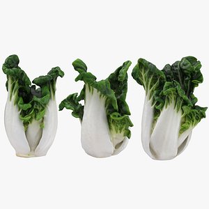 3D model White Bok Choy Collection