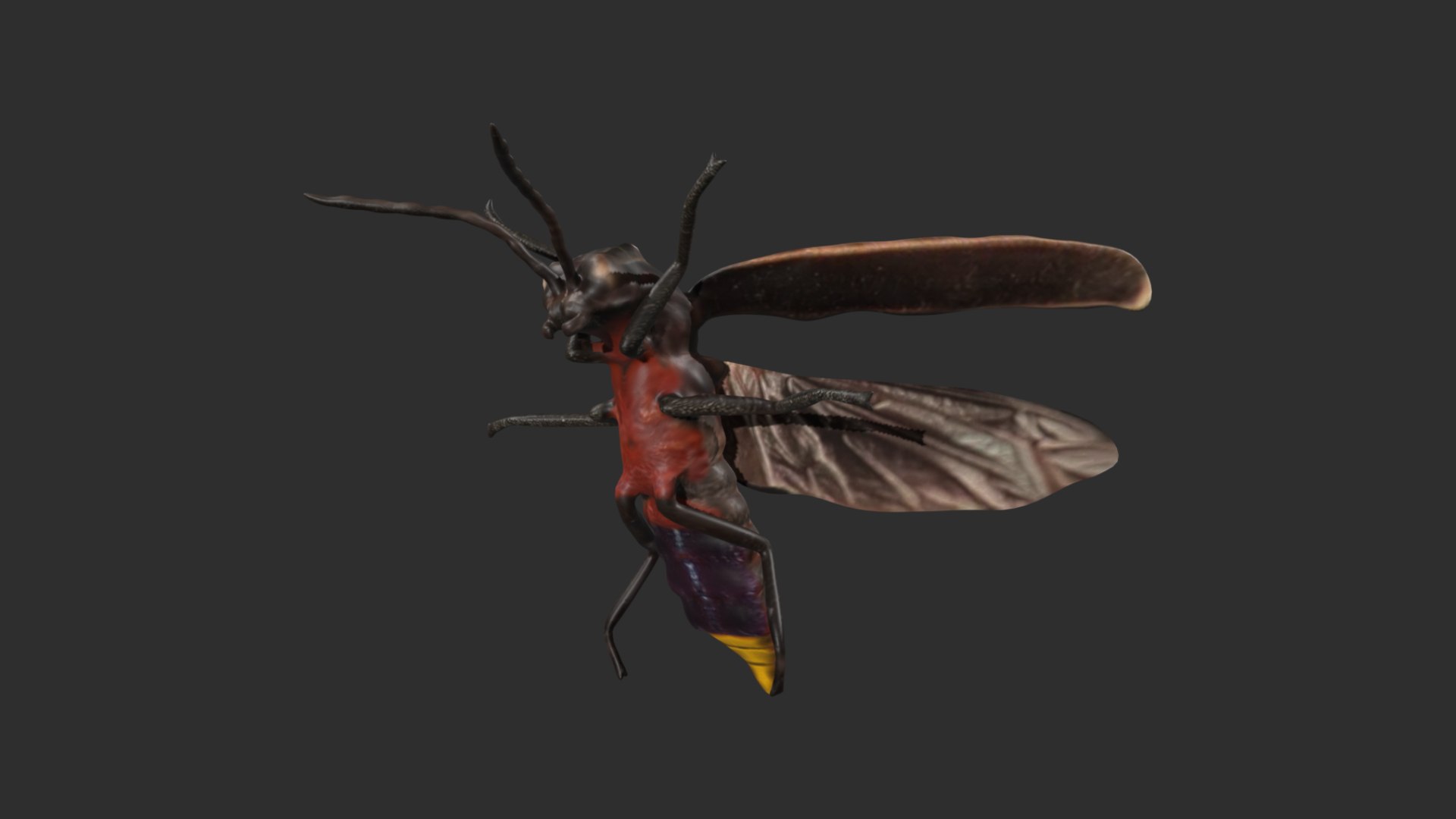 3D Rigged Firefly - TurboSquid 1781904