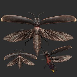 3D Rigged Firefly