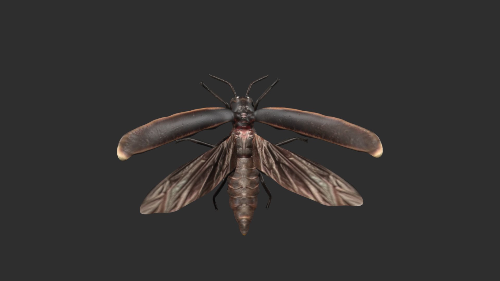 3D Rigged Firefly - TurboSquid 1781904