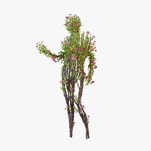 3D model Growing Tree in a shape of a human animation