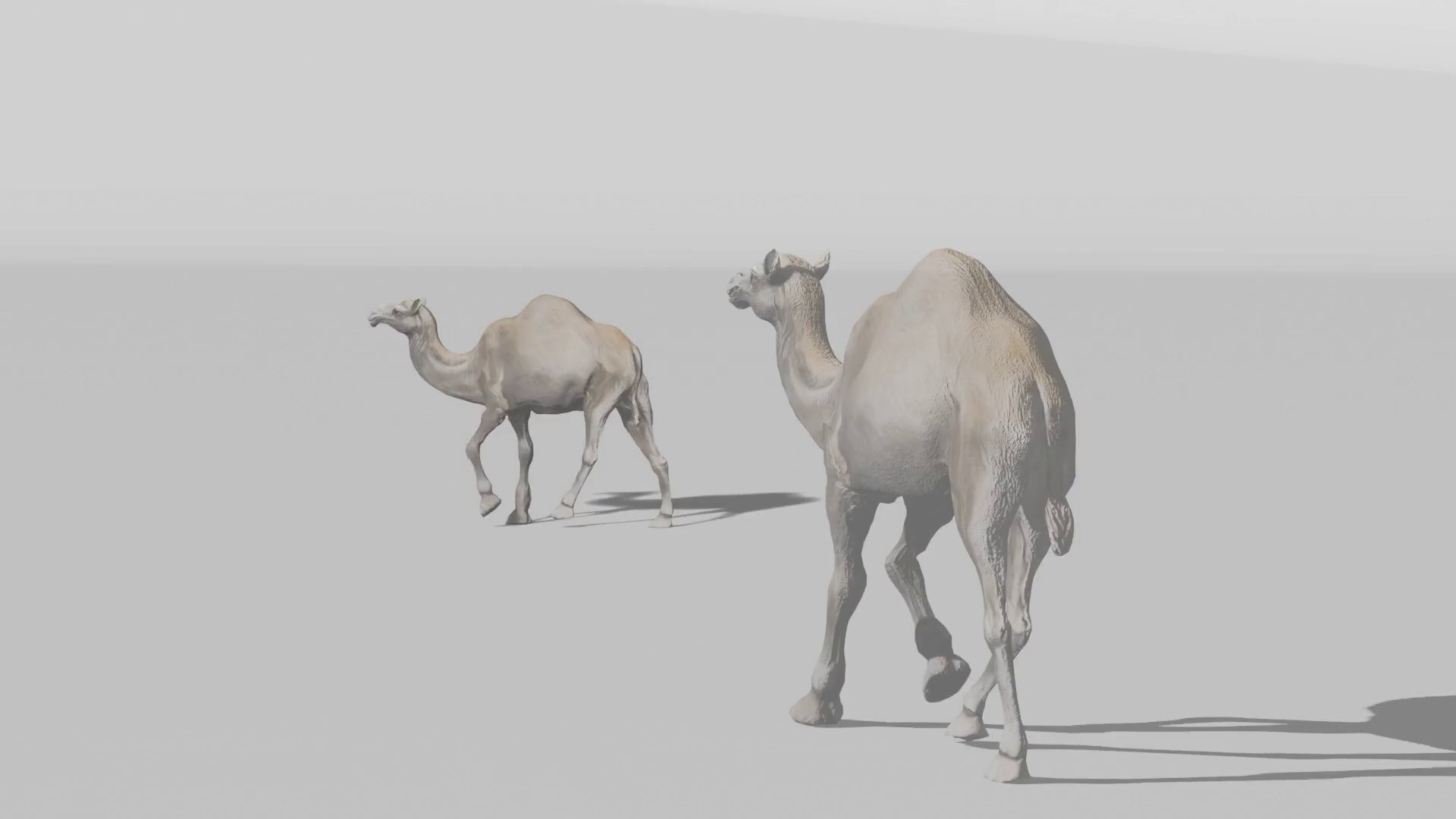 3D Rigged and Animated Arabian Camel Model 3D model https://p.turbosquid.com/ts-thumb/eu/pAClH0/GY/113/png/1738079579/1920x1080/fit_q87/6fe487984e54c9d0e474f17bd04b596c5e3e7ac6/113.jpg