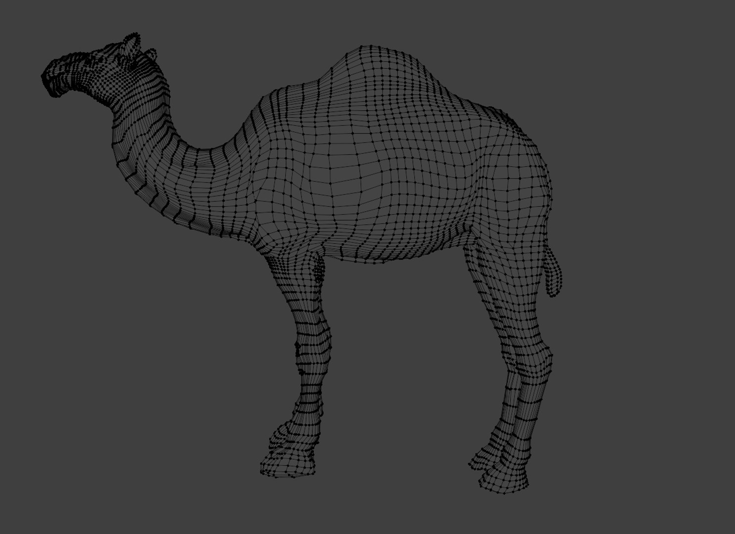 3D Rigged and Animated Arabian Camel Model 3D model https://p.turbosquid.com/ts-thumb/eu/pAClH0/S6/9/png/1738079553/1920x1080/fit_q87/e3c64b253c35d5612c3e6d8dab9c0979e21f853d/9.jpg