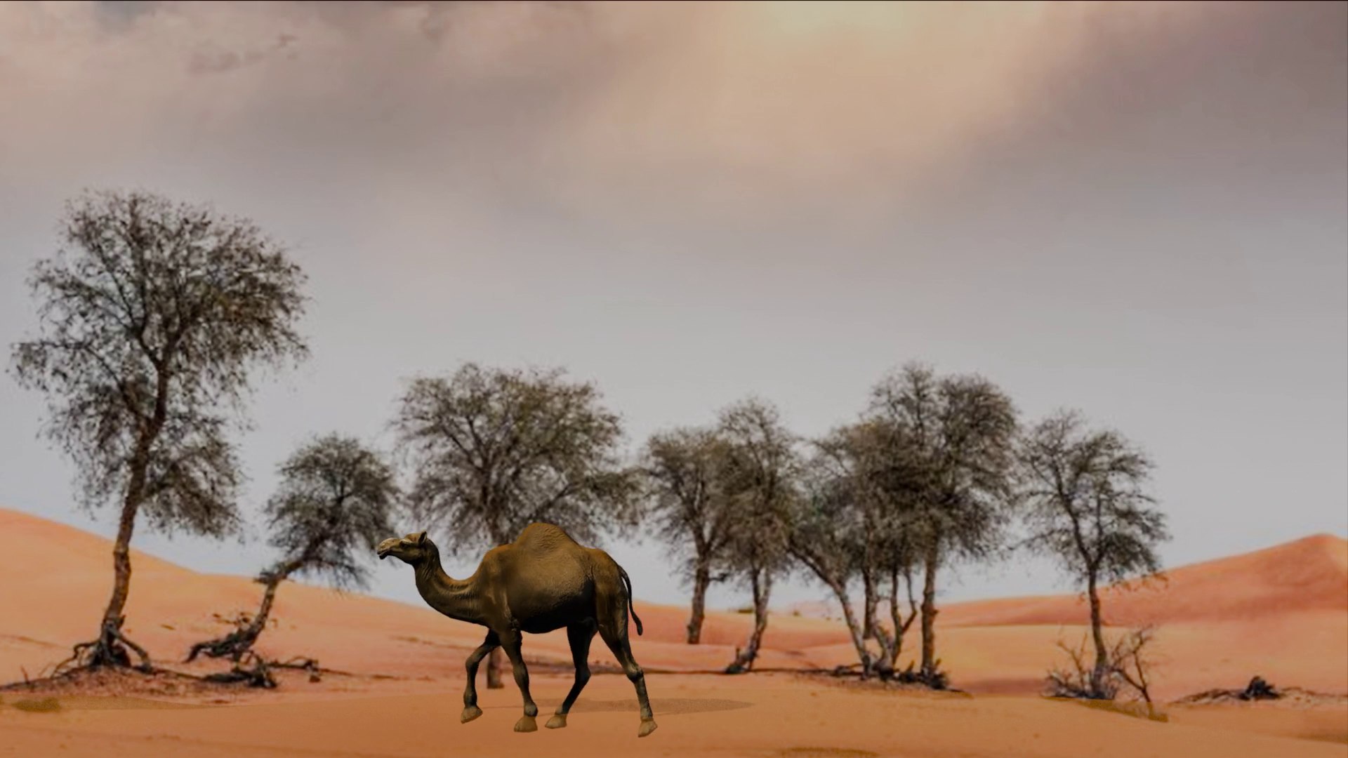 3D Rigged and Animated Arabian Camel Model 3D model https://p.turbosquid.com/ts-thumb/eu/pAClH0/Ty/0080/png/1738079578/1920x1080/fit_q87/6b1e9b78c3e87dd34dd34ba8a48052a6981705f4/0080.jpg