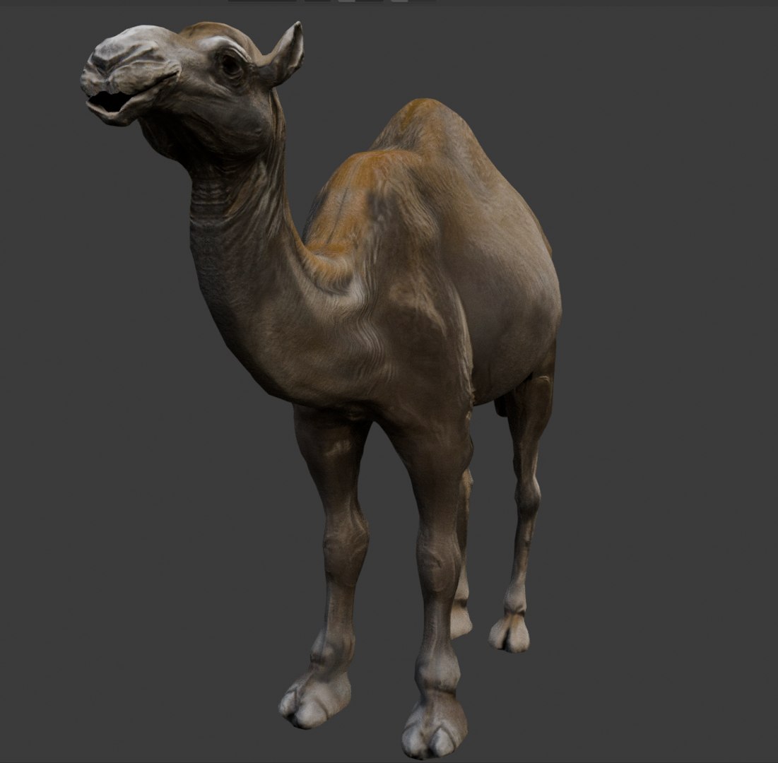 3D Rigged and Animated Arabian Camel Model 3D model https://p.turbosquid.com/ts-thumb/eu/pAClH0/gv/2/png/1738079562/1920x1080/fit_q87/824a95f0a0e8e59a1d09d8439cb7abc4f06b471a/2.jpg