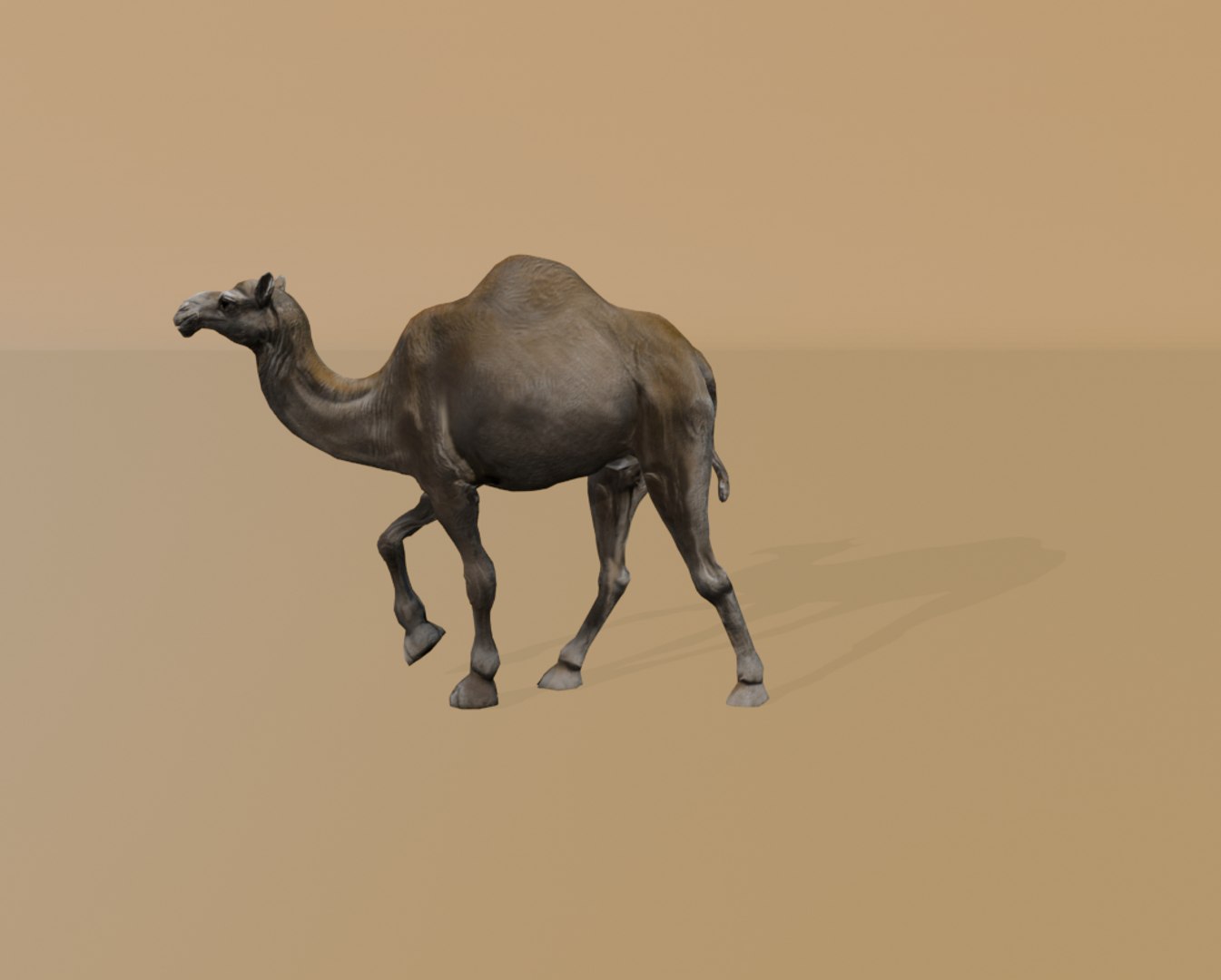 3D Rigged and Animated Arabian Camel Model 3D model https://p.turbosquid.com/ts-thumb/eu/pAClH0/jD/20/png/1738079570/1920x1080/fit_q87/52c95ec6299001b3a58f0fdf1611c986a36a4e3c/20.jpg