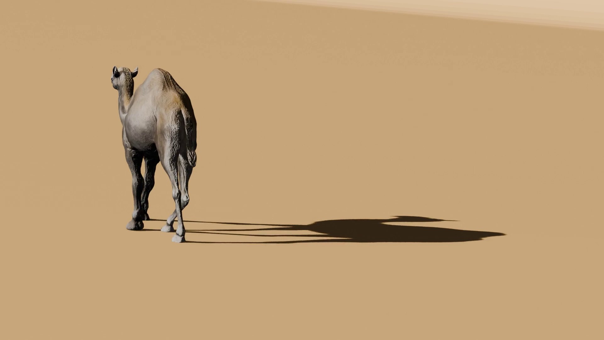 3D Rigged and Animated Arabian Camel Model 3D model https://p.turbosquid.com/ts-thumb/eu/pAClH0/oj/117/png/1738079580/1920x1080/fit_q87/684011037eb0bc21905310bc1e002b6e8d5521c8/117.jpg