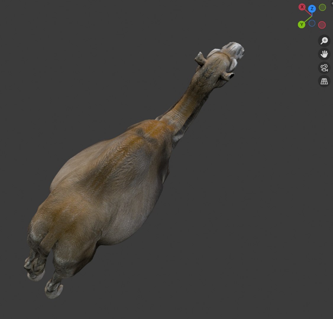 3D Rigged and Animated Arabian Camel Model 3D model https://p.turbosquid.com/ts-thumb/eu/pAClH0/px/6/png/1738079538/1920x1080/fit_q87/8f988cd5f9b082234047ad46d10835412f7b9479/6.jpg