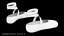 Chaussons de pointe PBR