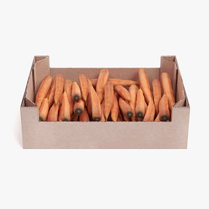 3D carrots box model