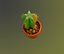 Cactus in a pot