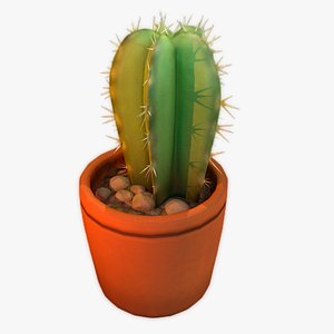 Cactus in a pot