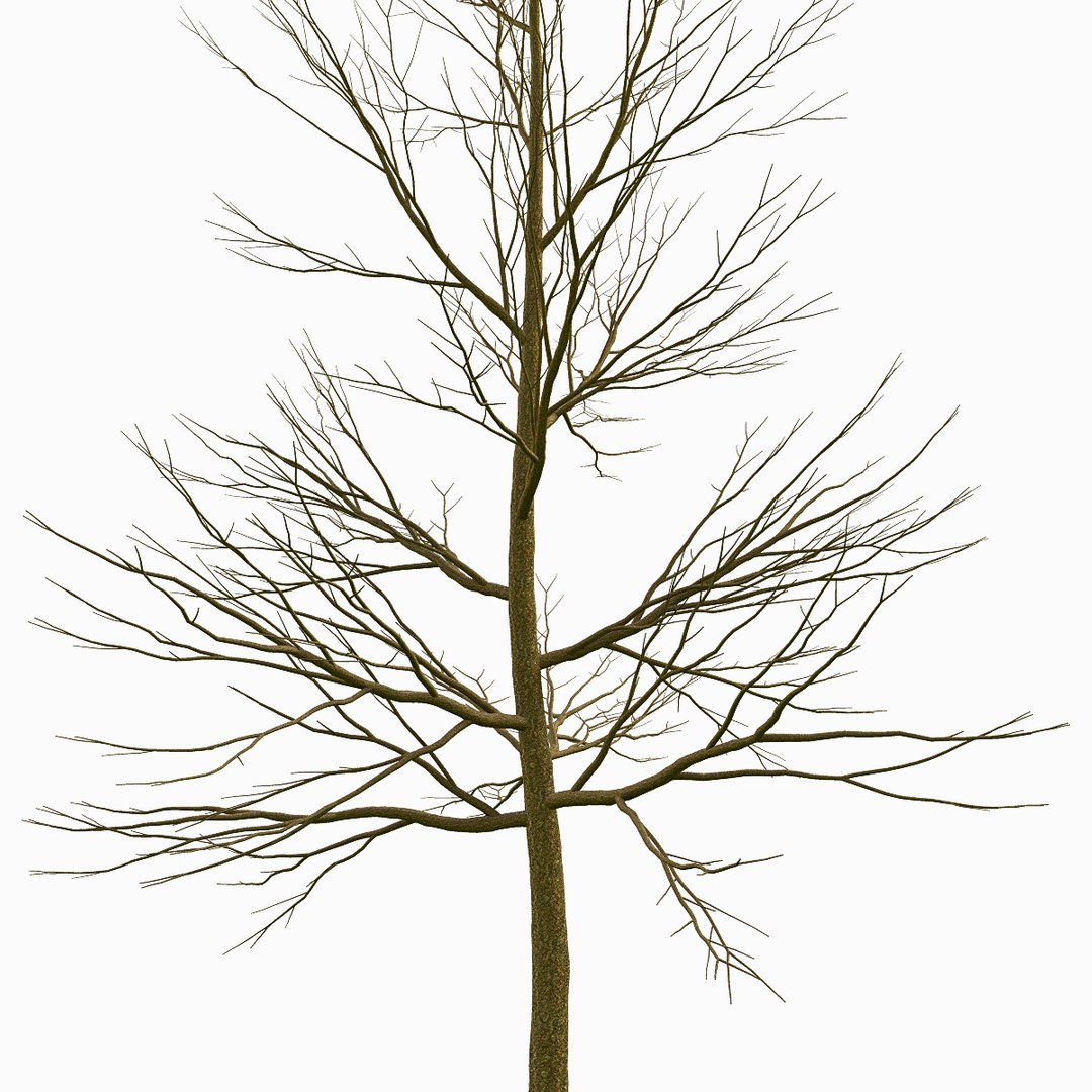 Obj Tree Environment