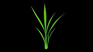 3D PADDY PLANT FINAL model