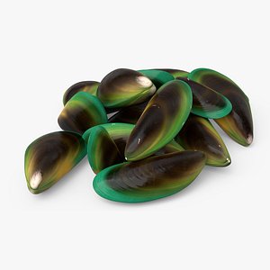 Pile of Green Lipped Clams 3D model
